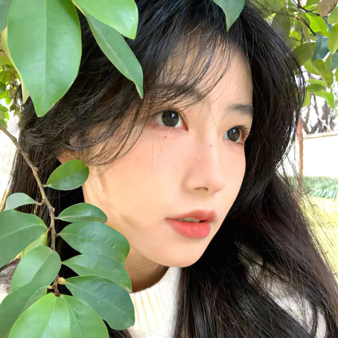 你看谁来了海报